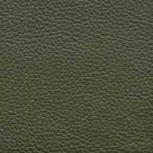 Mimosa plain 605