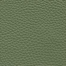 Macadamia camoflage green 622
