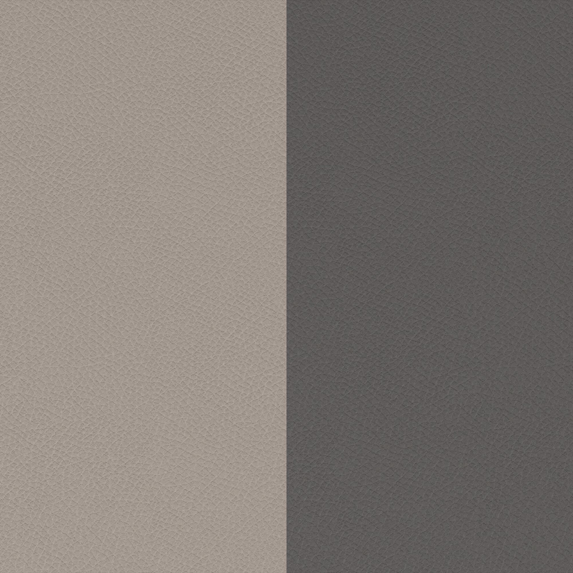 Arabis slate grey 880 tarpaulin grey 850