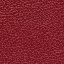 MACADAMIA-RED-340
