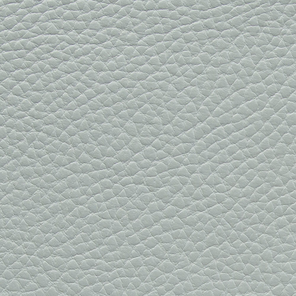 Macadamia 508