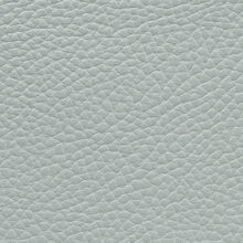 MACADAMIA-508