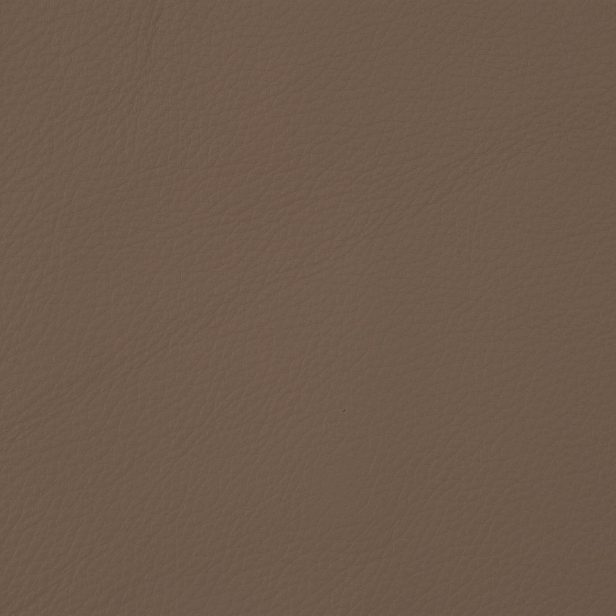Macadamia 830
