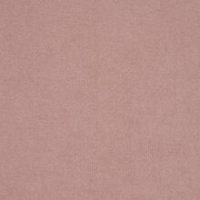 SANTOLINA-PINK-495