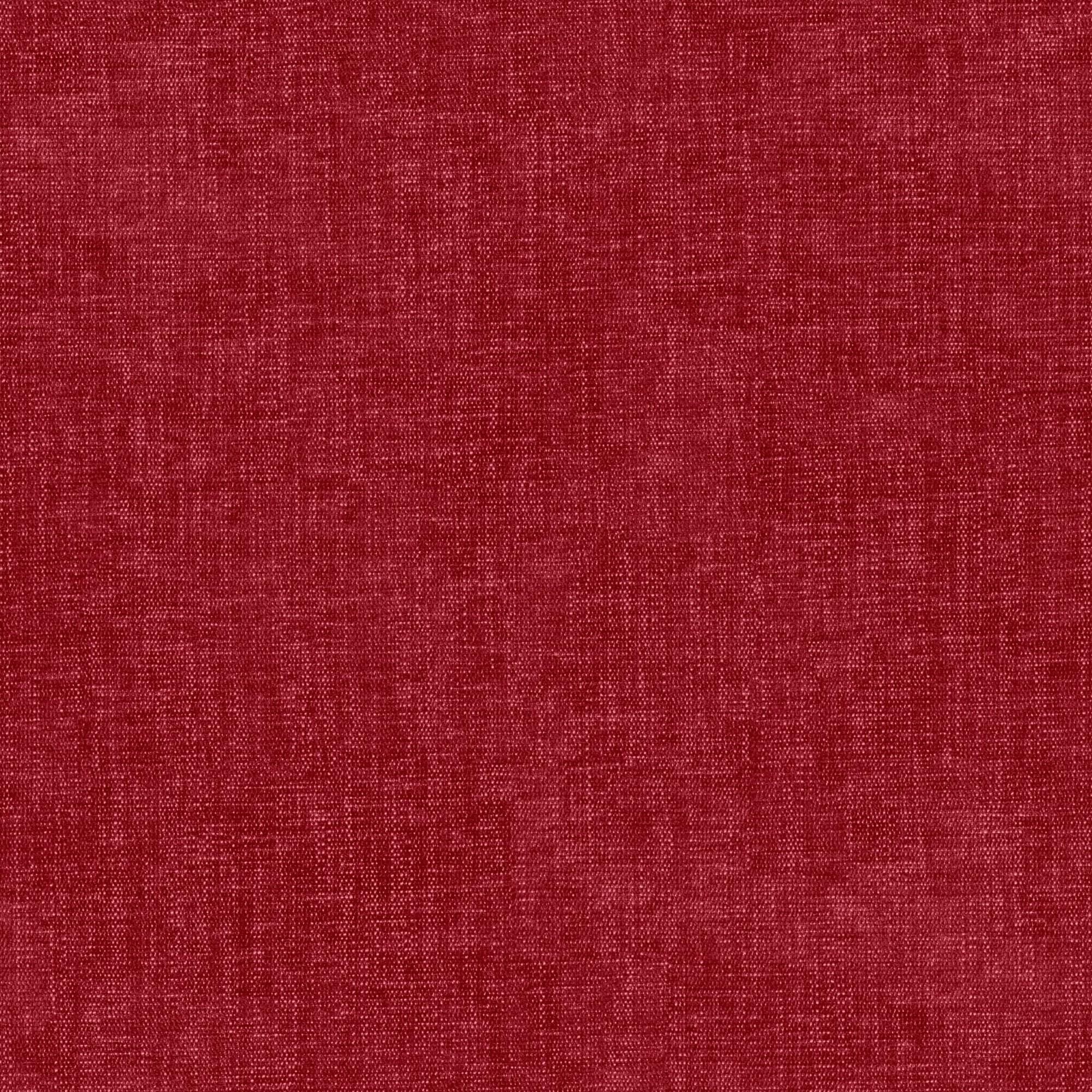 Mirtillo red 300