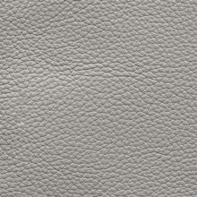 Mimosa plain 880