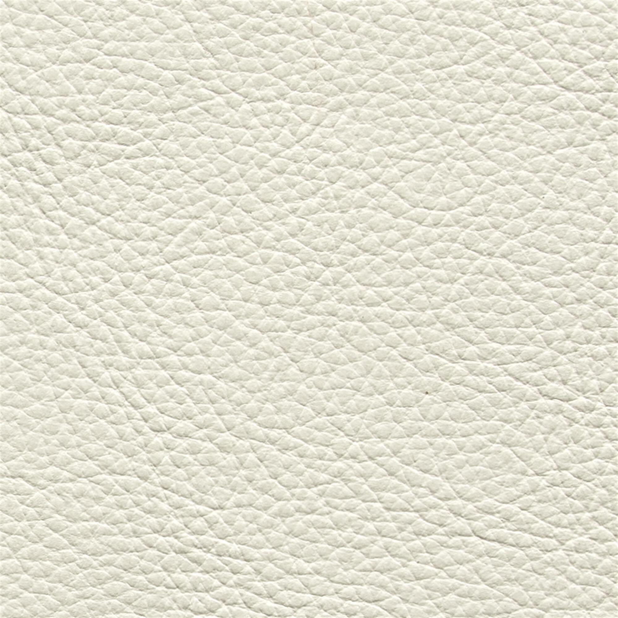 Mimosa plain 013