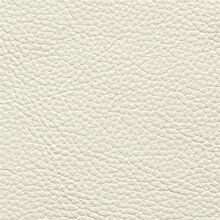 Mimosa plain 013