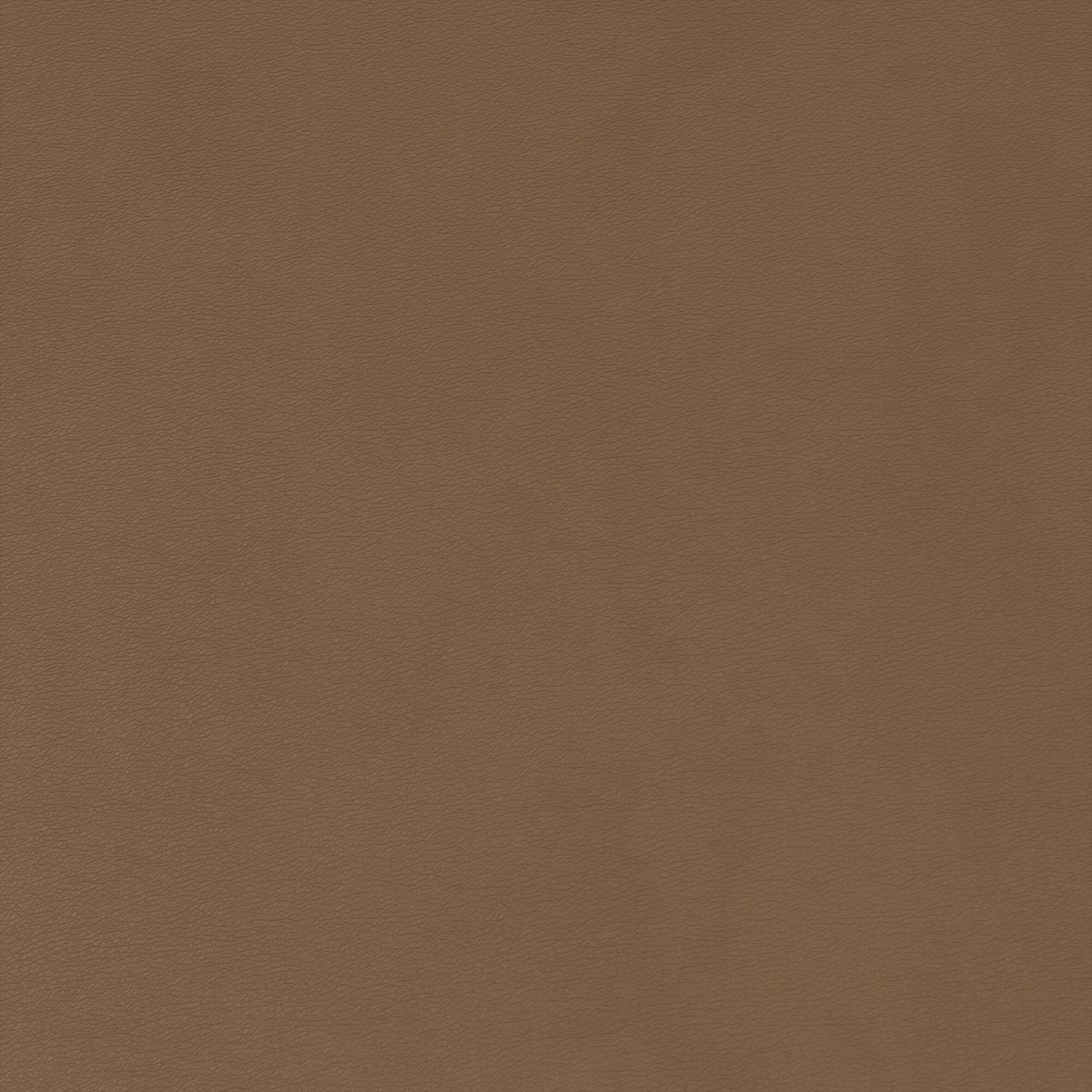 Mimosa light brown 711