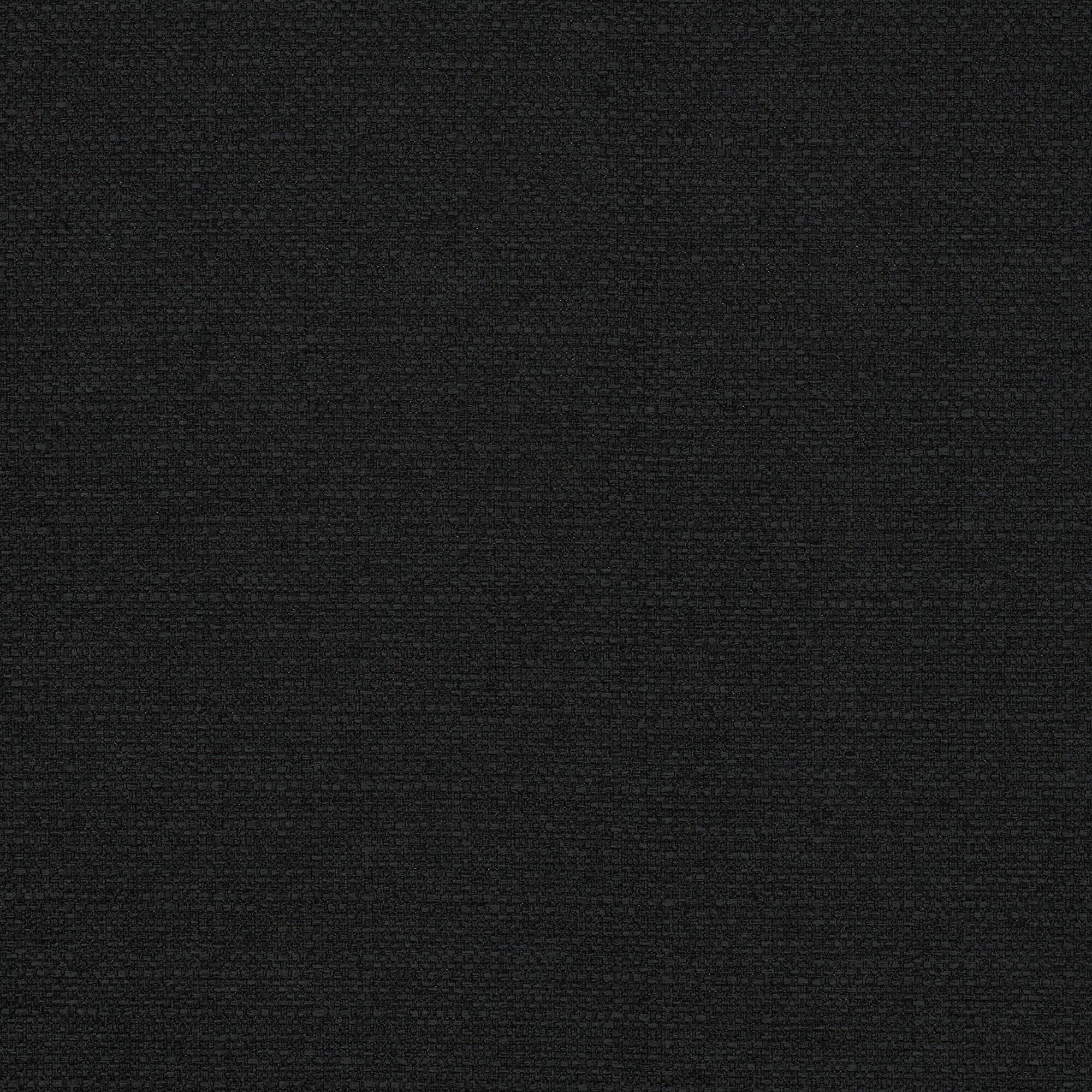 Clusia black 910