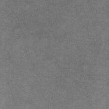 CAMELIA-825