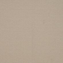 Clusia light beige 004