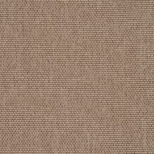 CALLISIA-TAUPE-008