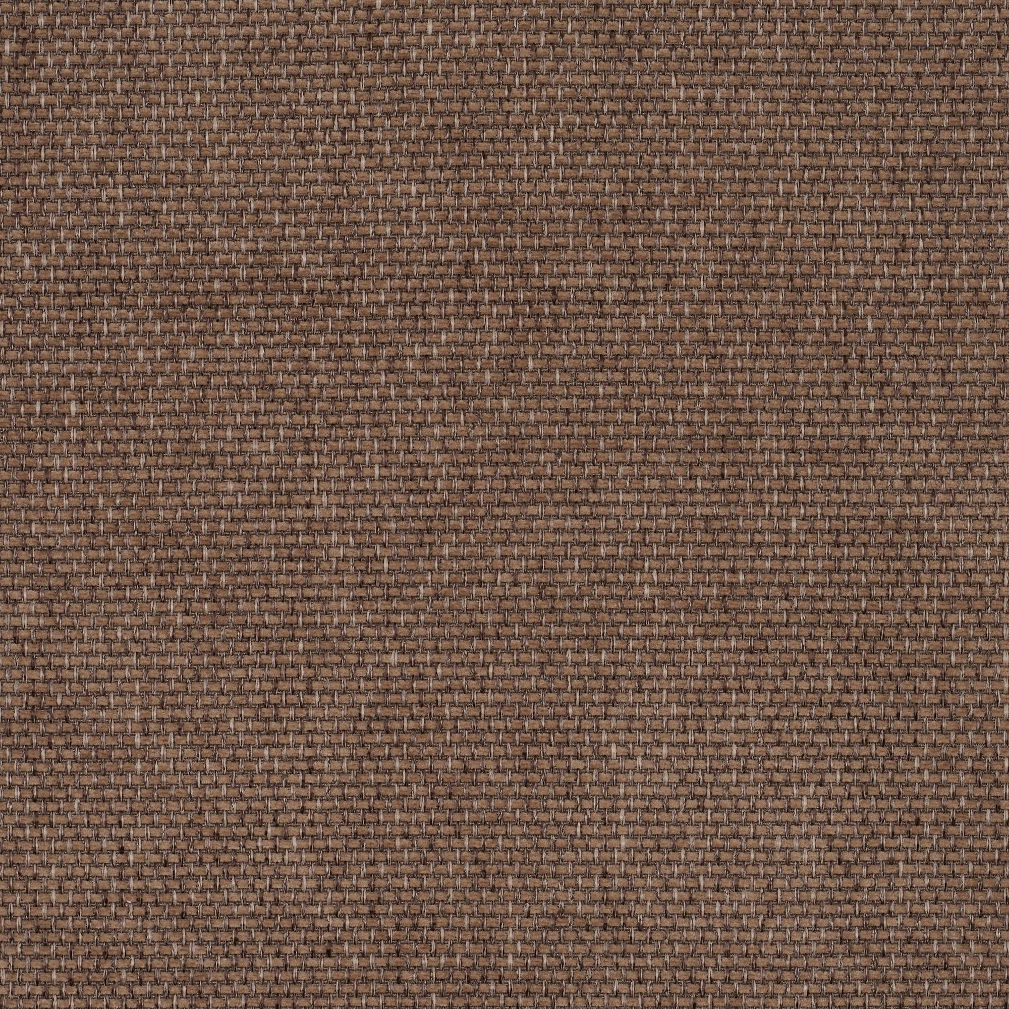 CALLISIA-LIGHT-BROWN-720