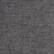 Santolina dusty grey 887