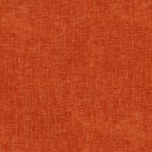Mirtillo orange 230