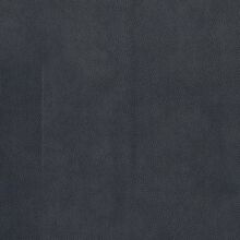 CAMELIA-ANTHRACITE-850