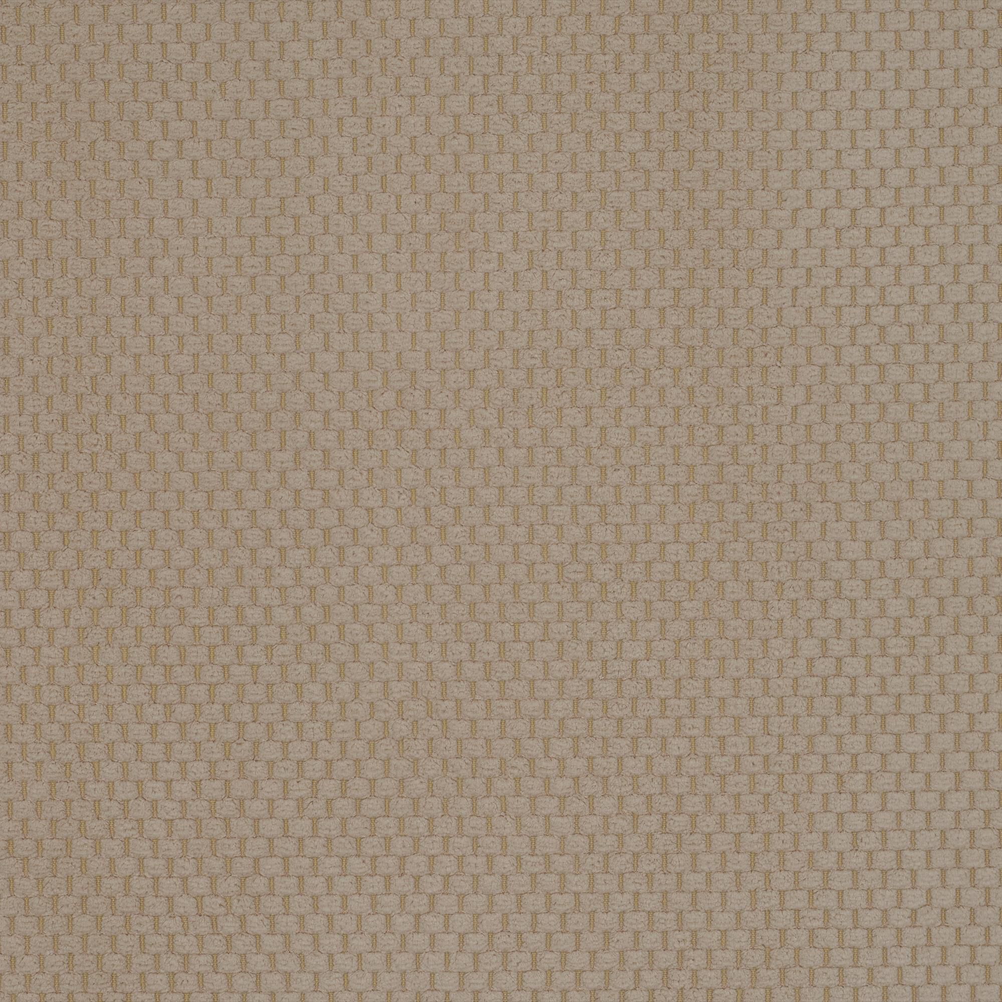 Robinia beige 004