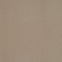 Robinia beige 004