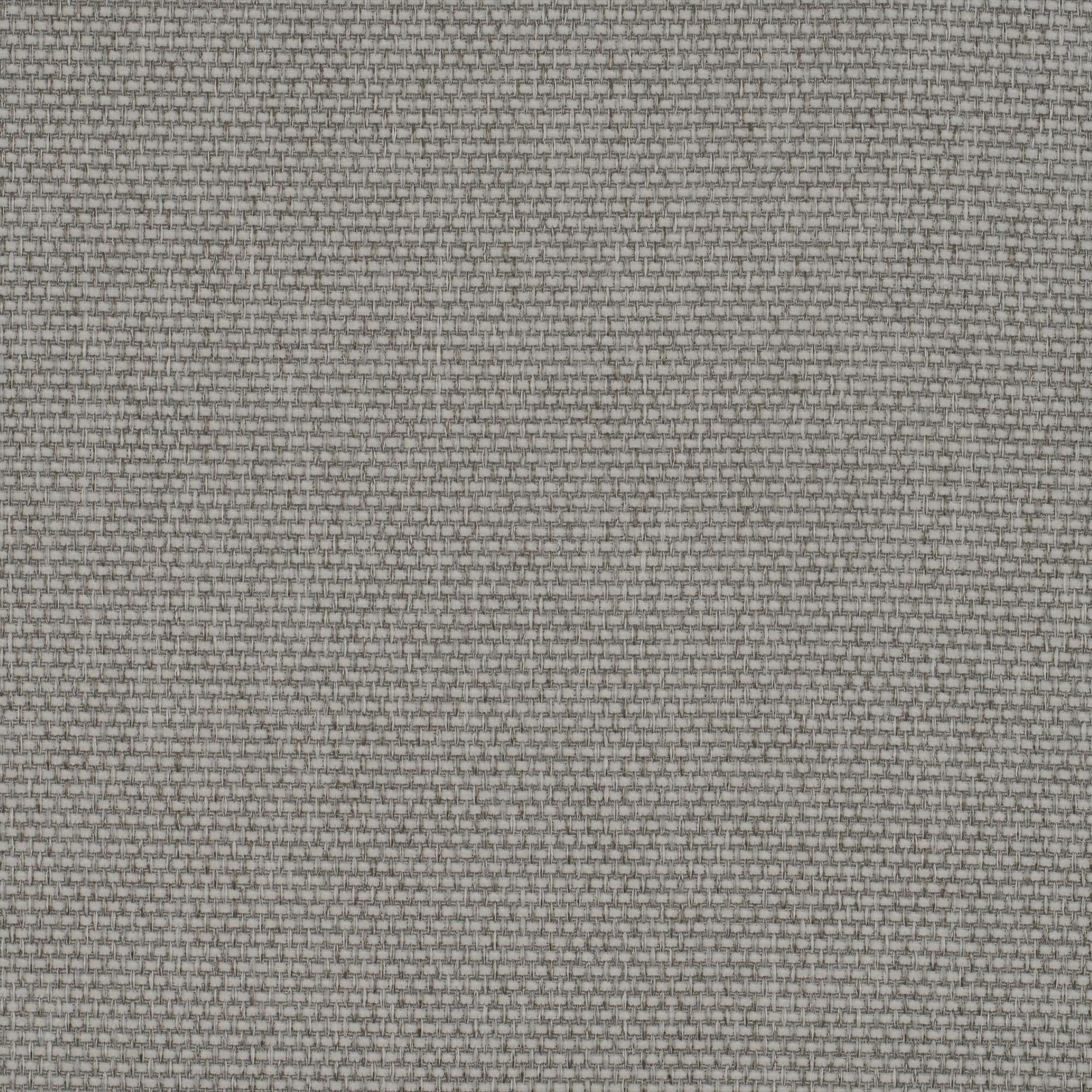 Callisia light grey  825
