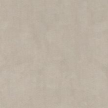 EDERA-BEIGE-001