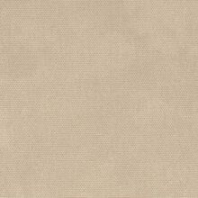 Callisia light beige 004