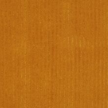 Peonia yellow 120