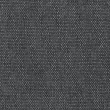 CALLISIA-ANTHRACITE-855