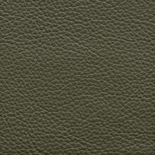 MIMOSA-PLAIN-DEEP-GREEN-605