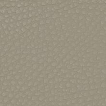 Macadamia light beige 030