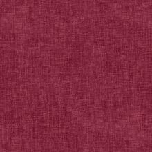MIRTILLO-455