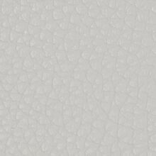 Arabis optical white 000