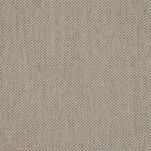 ANEMONE-LIGHT-BEIGE-004
