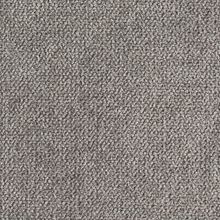 Santolina ash grey 890