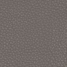 Mimosa grey 800