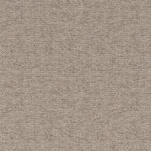 CAMPANULA-MEDIUM-BEIGE-025