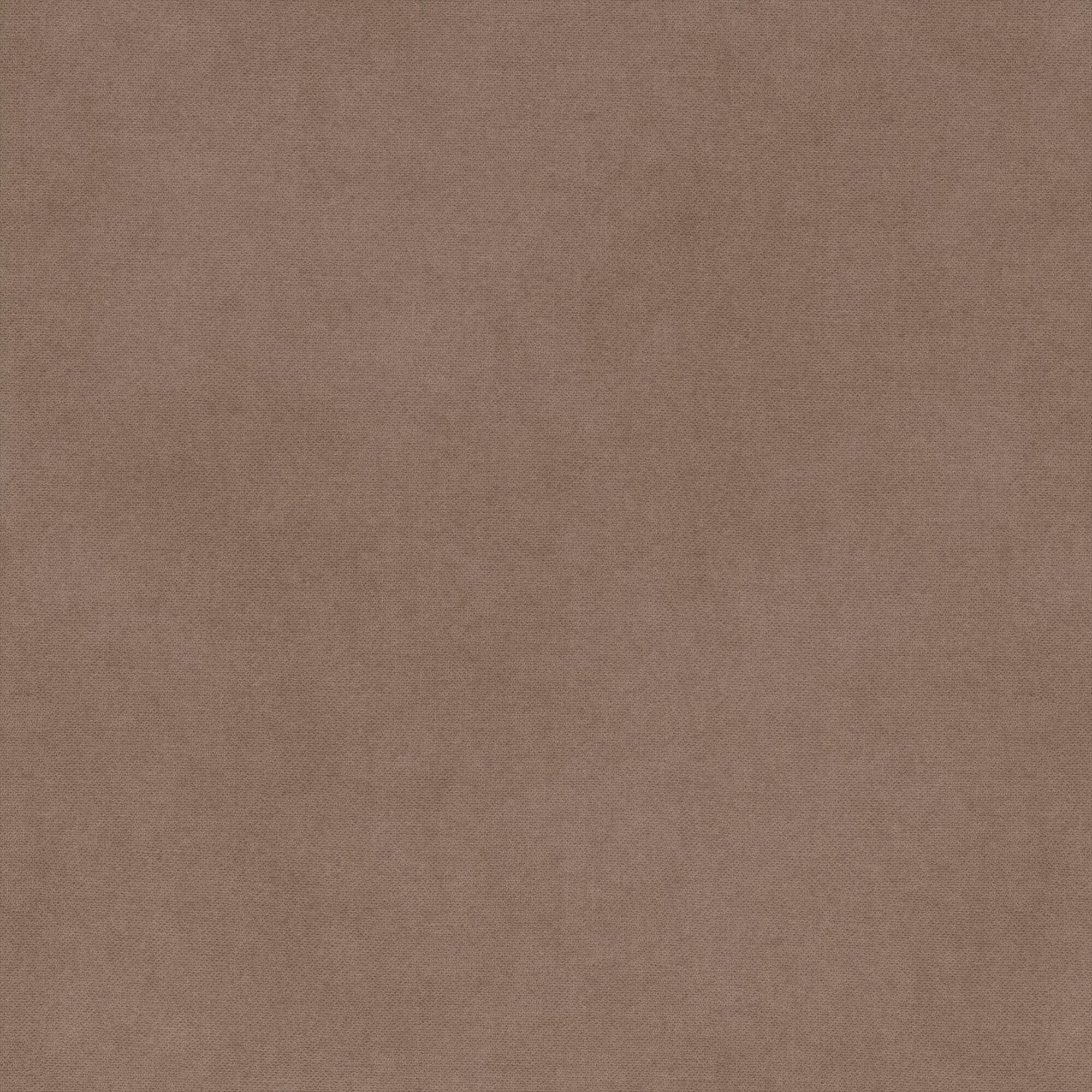Santolina beige 711