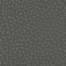 MACADAMIA-GREY-800