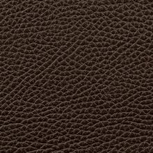 Macadamia 740