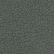 MACADAMIA-DOLPHIN-GREY-805