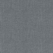 CAMPANULA-SILVER-GREY-535