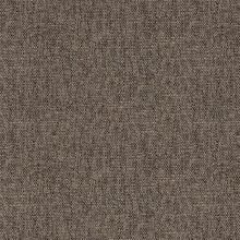 CAMPANULA-BROWN-711