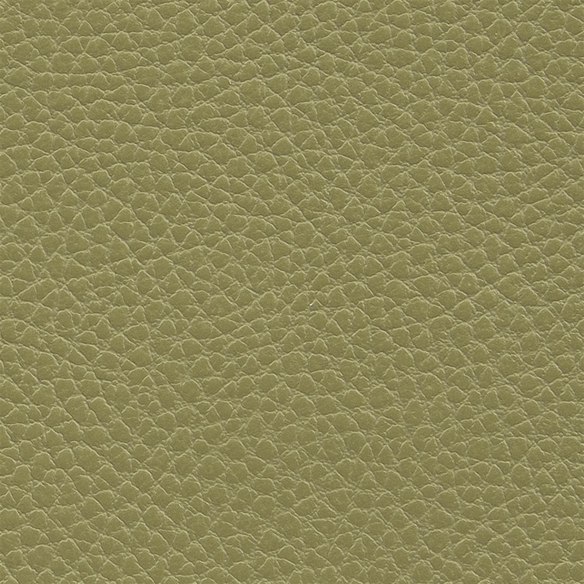 Macadamia 620