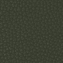 MACADAMIA-DEEP-GREEN-605