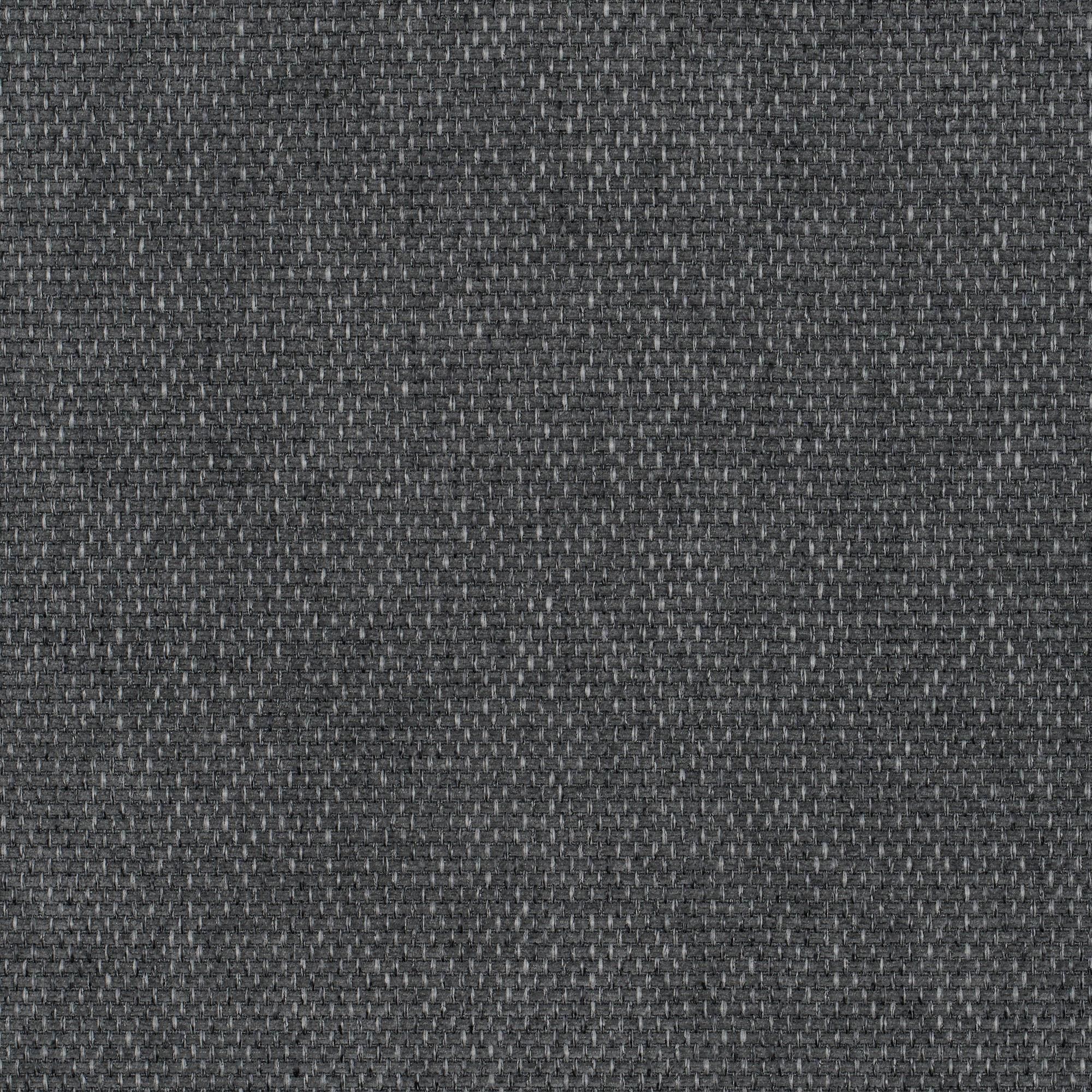 CALLISIA-ANTHRACITE-855