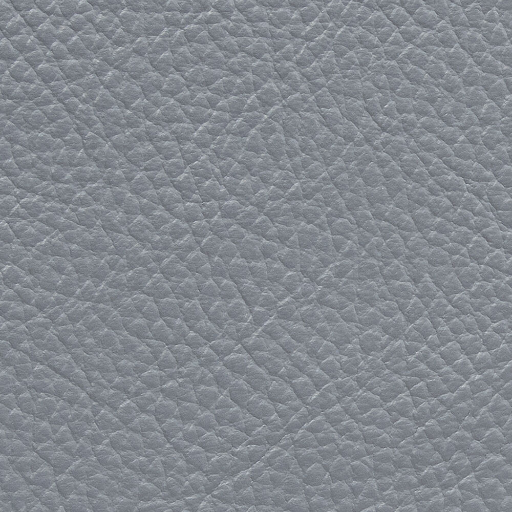 Macadamia 453
