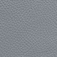 MACADAMIA-453