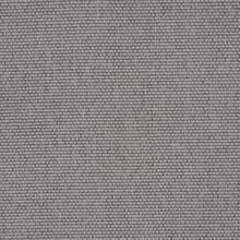 CALLISIA-GREY-800