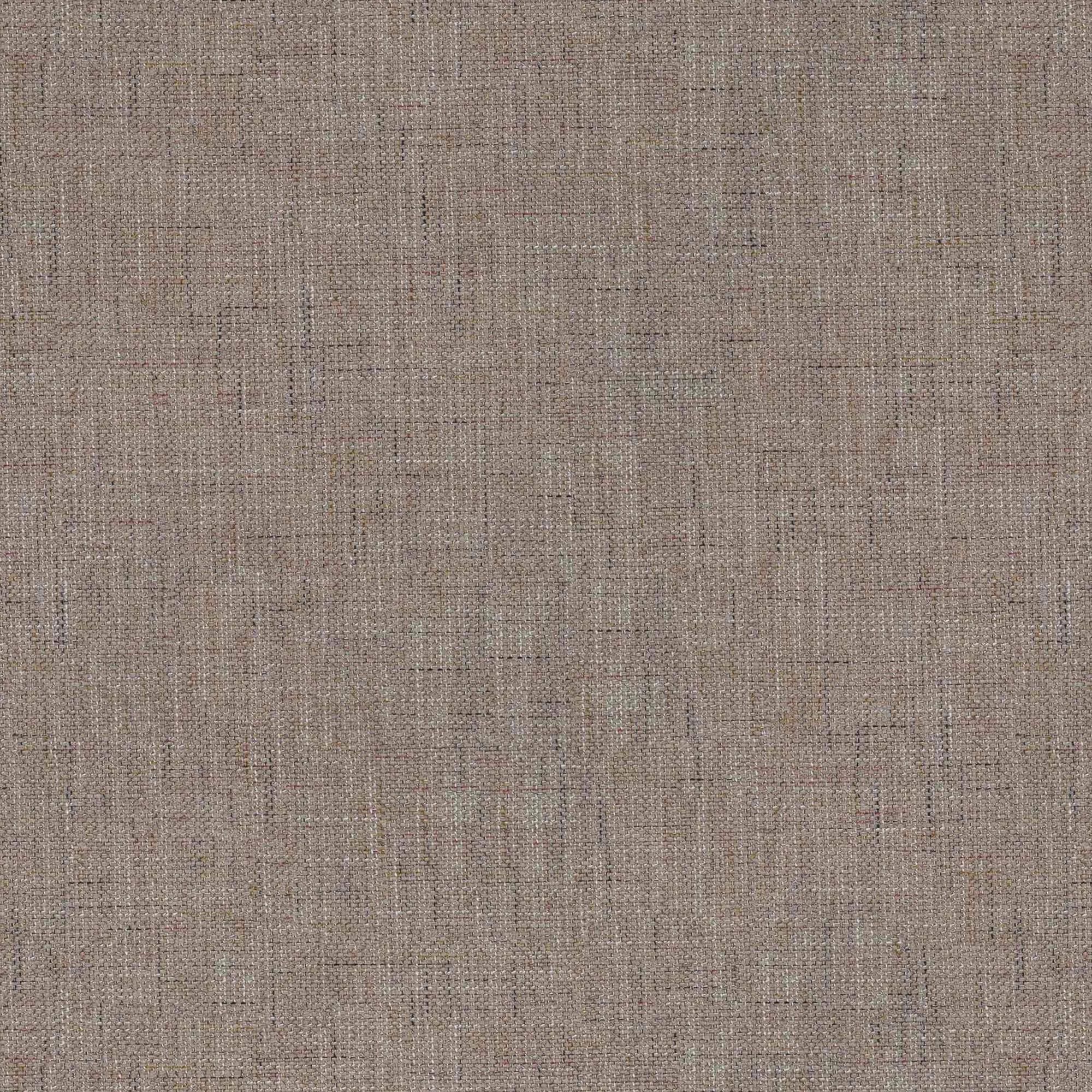 Cerfoglio taupe 005