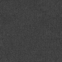 CALLISIA-ANTHRACITE-855
